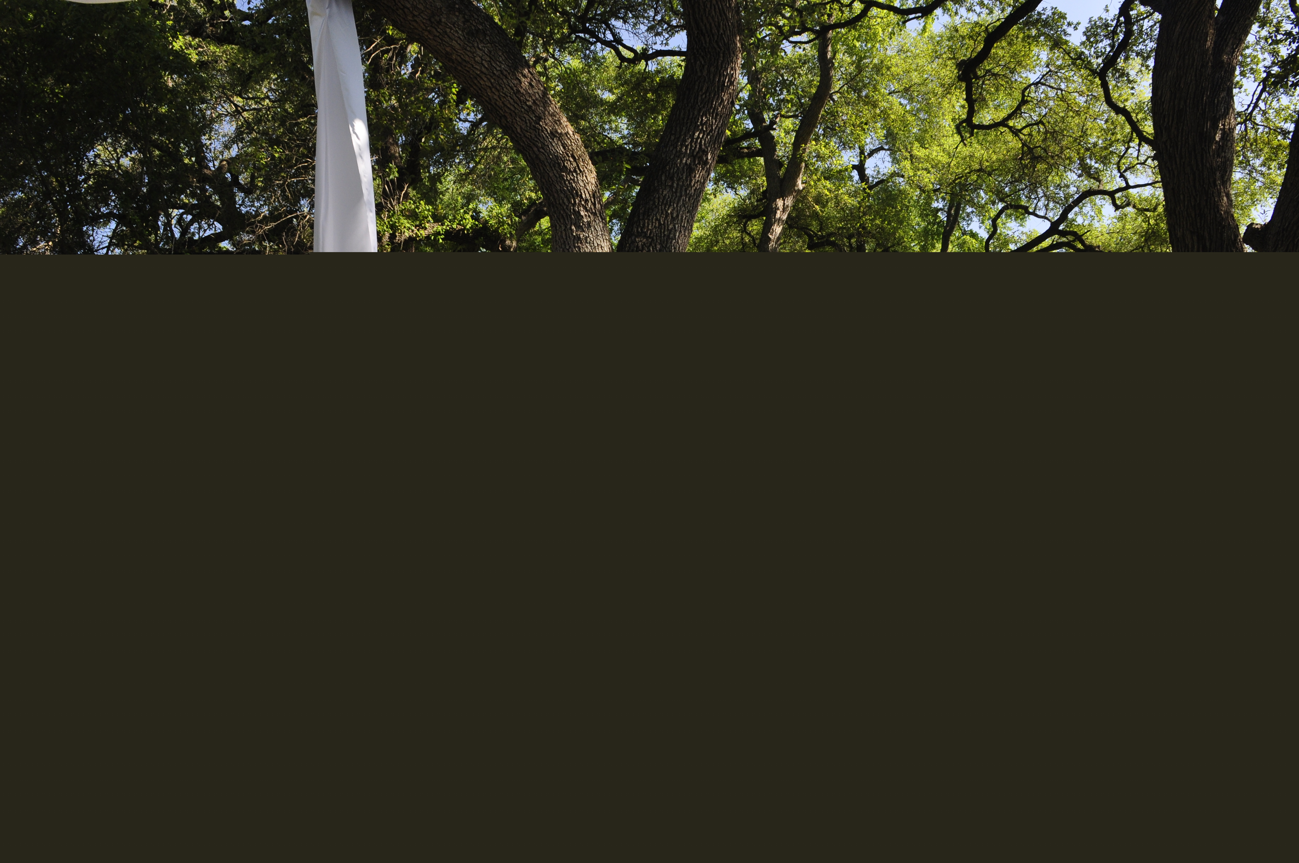 Click to return to the thumbnail index